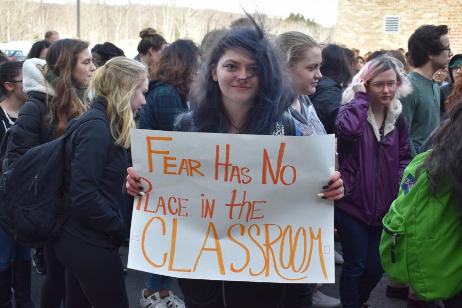 How Our School’s Walkout Reflects the Nationwide Crisis of Gun Control and School Violence