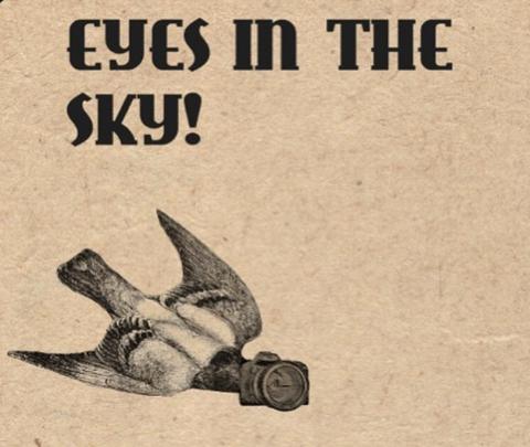 Conspiracy Corner Presents: Have You Seen Any Birds Since the Government Shutdown?