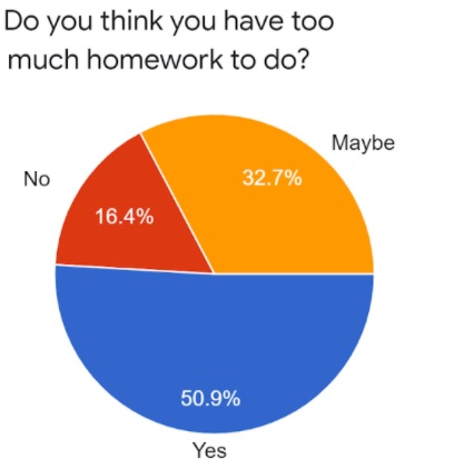 Too Much Homework