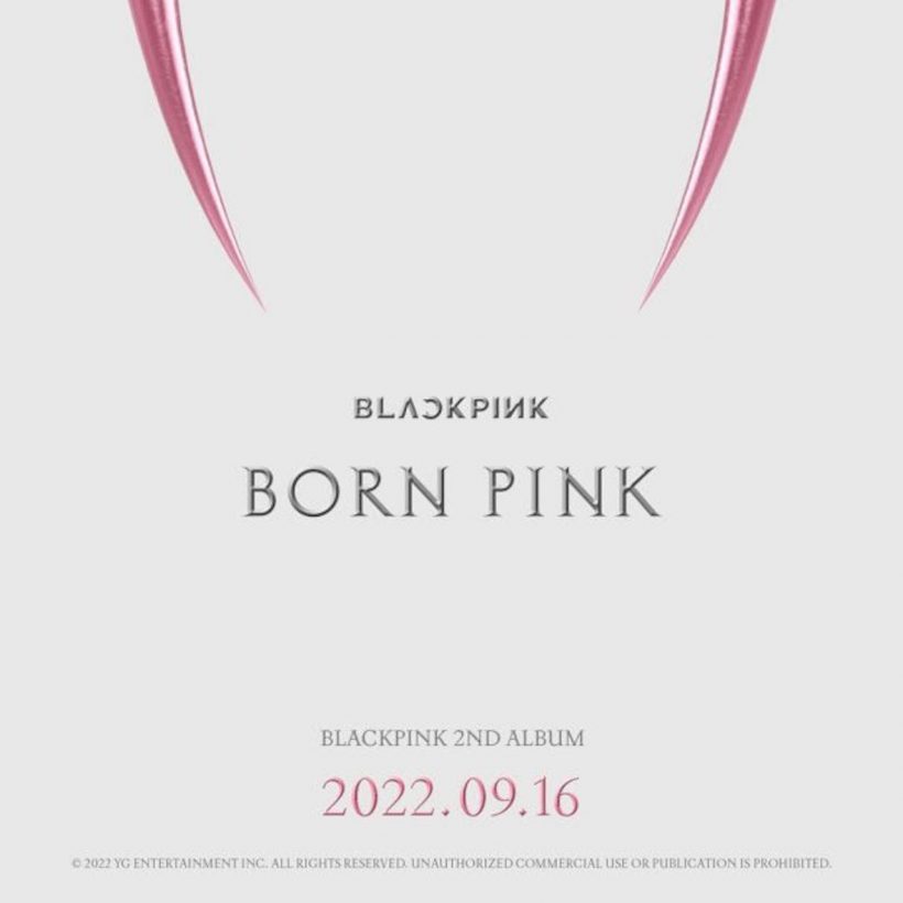 Born+Pink%3A+Was+The+Wait+Really+Worth+the+Devotion%3F