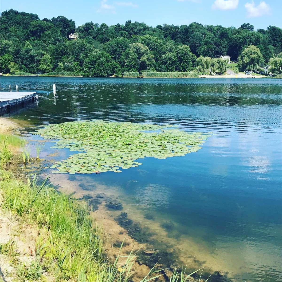 Pictured above, a view of Tonetta Lake, which had intermittent closures during the summer due to harmful algae blooms.